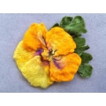 Brosa impaslita 1